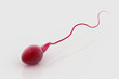 3d illustration of sperm