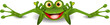 funny frog is on his stomach