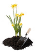 Gardening