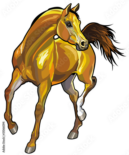 Vector: brown arabian horse brown arabian horse