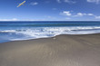 plage de sable noir, l''Etang-Salé, île de la Réunion