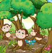 Three monkeys playing at the forest