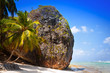 Foto: deserted beach deserted beach