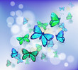 Vector: Butterflies in a stationery Butterflies in a stationery