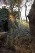 Foto: Tempelanlage Ta Prohm in Kambodscha Tempelanlage Ta Prohm in Kambodscha