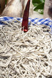 elvers