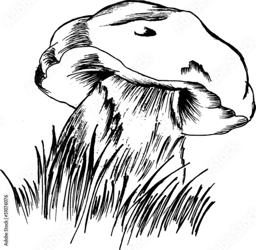 Vector: mushroom mushroom