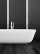 Interior of Luxurious Design Bath Room