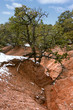 Treasures of New Mexico