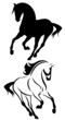 beautiful running horse vector outline and silhouette