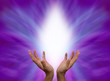Healing Hands 563