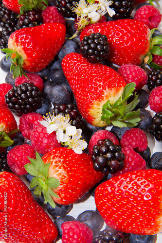 Photo: Berries Berries