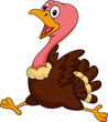 Cute turkey running
