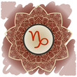 zodiac sign capricorn What is karma?