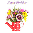beautiful bouquet of bright flowers in watering can isolated
