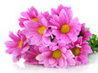 Bouquet of beautiful chrysanthemums isolated on white