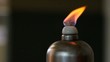 Zoom out with the Fire in lamplight.