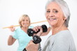 Women working out together