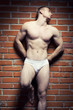 Photo: Bodybuilder Bodybuilder