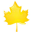 Vector: maple leaf maple leaf