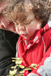 Curious little boy looking at plant