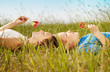 Sweet summer