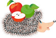 Hedgehog with apple