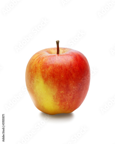 Photo: apple(path) apple(path)