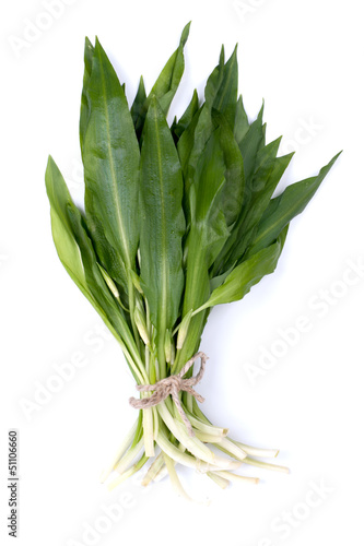 Photo: Frischer Bärlauch Frischer Bärlauch
