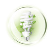 Fluorescent lightbulb in glass globe