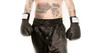 Boxer