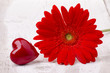 gerbera con cuore rosso su fondo di legno