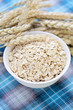 bowl of oats