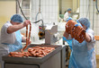 Lebensmittelindustrie // Industrial food production