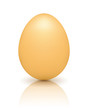 Brown egg with reflection on white background