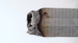 Cigarette