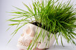 think green
