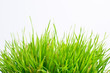 think green