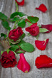 rote Rosen