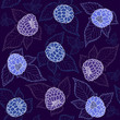Blackberry background