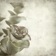 textured old paper background