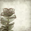 textured old paper background