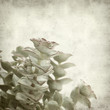 textured old paper background