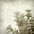 textured old paper background