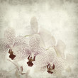 textured old paper background with