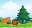 A snail near the wooden signboard