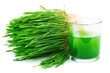 Wheatgrass juice with sprouted wheat