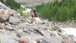 Video: Man with backpack hiking across mountain Man with backpack hiking across mountain