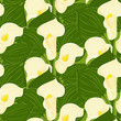 Vector seamless pattern with calla