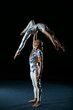 Circus artists perform different tricks.